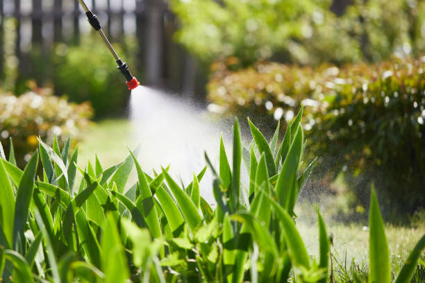 24/7 Emergency Mosquito Control experts in Pearl River, NY